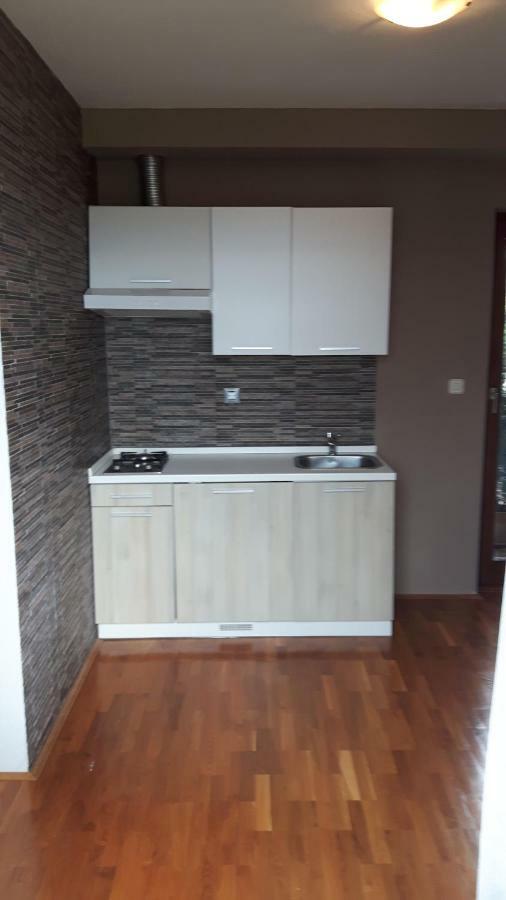 Apartmán Lili'S House Ližnjan Exteriér fotografie